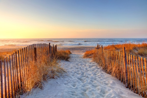 hamptons escape copy