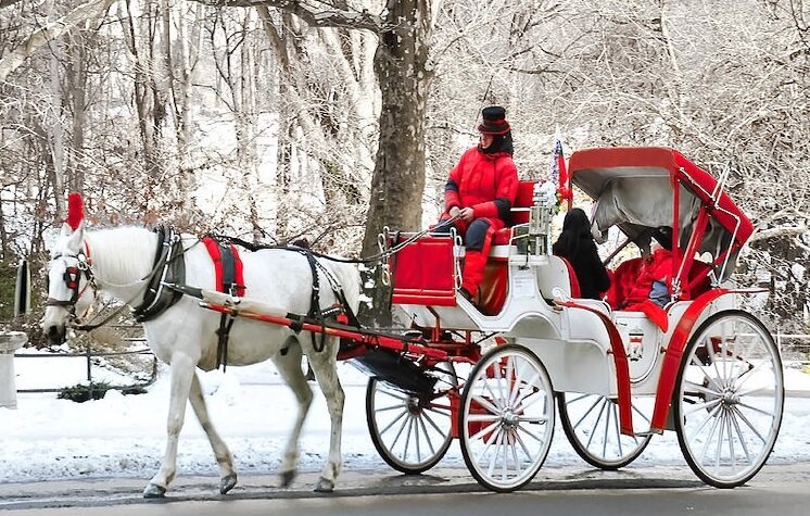 imgi 5 christmas horse and carriage e1771545083190 (1)