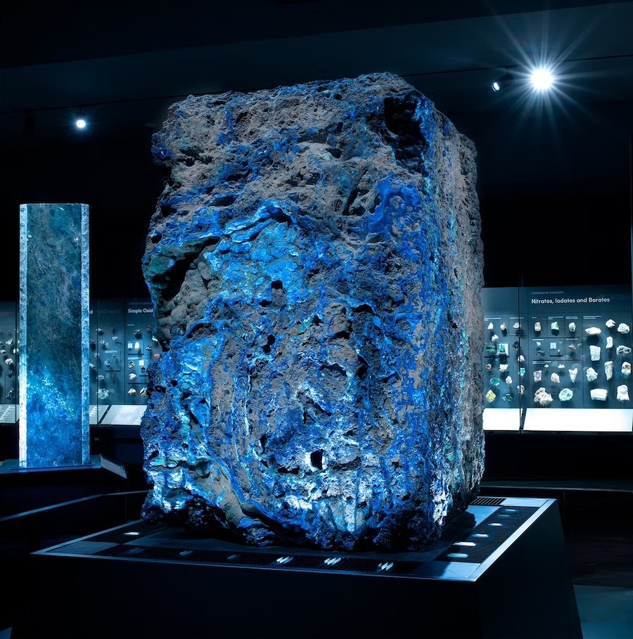 imgi 5 tiffanys amnh 1